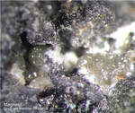 Magnesit