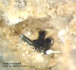 Pseudobrookit