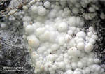 Hydromagnesit