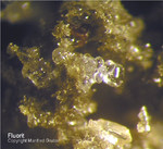 Fluorit