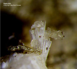 Natrolith