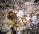 Pyroxen
