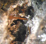 Ferrokaersutit