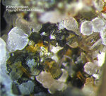 Klinopyroxen
