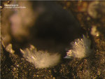 Hemimorphit