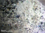 Magnetit