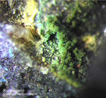 Paratacamit