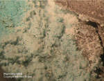 Hemimorphit