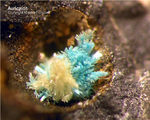 Aurichalcit