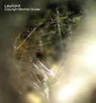 Laurionit