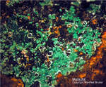 Malachit