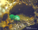 Malachit
