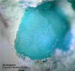 Adamin-Al