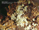 Mineralien hilarion Bukovskýit