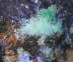 Mineralien Lavrion Laurion Chrysokoll