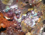 Mineralien Griechenland Lavrion Jean Baptiste Cuprit