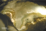 Bayern Mineralien Maroldsweisach Zeilberg Calcedon