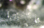  Bayern Mineralien Maroldsweisach Zeilberg Hyalit