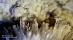  Bayern Mineralien Maroldsweisach Zeilberg Montmorillonit