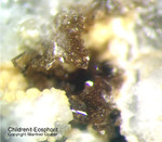 Bayern Mineralien Silbergrube Waidhaus Childrenit-Eosphorit