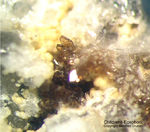 Bayern Mineralien Silbergrube Waidhaus Childrenit-Eosphorit