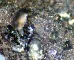 Harz Mineralien Frau Sophienhütte Akanthit