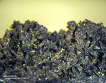 Harz Mineralien Frau Sophienhütte Akermanit