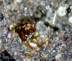 Eifel Mineralien Graulei Forsterit