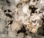 Eifel Mineralien Graulei Thomsonit