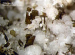 Eifel Mineralien Graulei Thomsonit