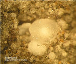 Eifel Mineralien Graulei Thomsonit
