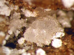 Eifel Mineralien Graulei Thomsonit