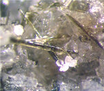 Eifel Mineralien Graulei Thomsonit