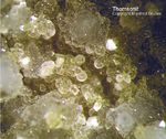 Eifel Mineralien Graulei Thomsonit