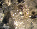 Eifel Mineralien Graulei Thomsonit