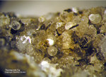 Eifel Mineralien Graulei Thomsonit