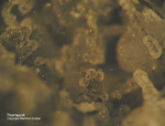 Eifel Mineralien Graulei Thomsonit