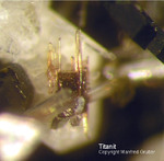 Eifel Mineralien Graulei Titanit