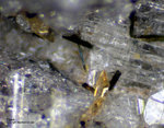 Eifel Mineralien Graulei Titanit