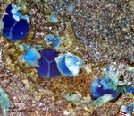 Harz Mineralien Silberhütte Altenau Connellit