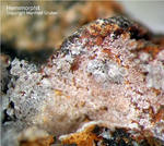 Harz Mineralien Kartoffelacker Hemimorphit