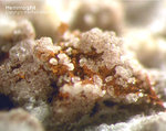 Harz Mineralien Kartoffelacker Hemimorphit
