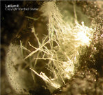 Harz Mineralien Kartoffelacker Latiumit