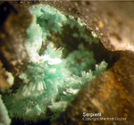Harz Mineralien Kartoffelacker Serpierit
