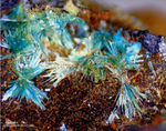 Harz Mineralien Kartoffelacker Serpierit