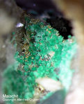 Harz Mineralien Oberschulenberg Malachit