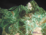 Harz Mineralien Oberschulenberg Malachit