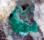 Harz Mineralien Oberschulenberg Malachit