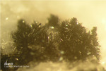 Lavrion Mineralien Plaka Akanthit