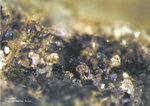 Lavrion Mineralien Plaka Covellin